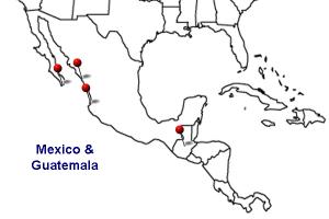 HomeStars in Mexico and Guatemala                           